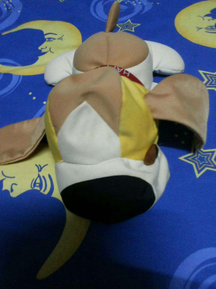 可爱的狗狗