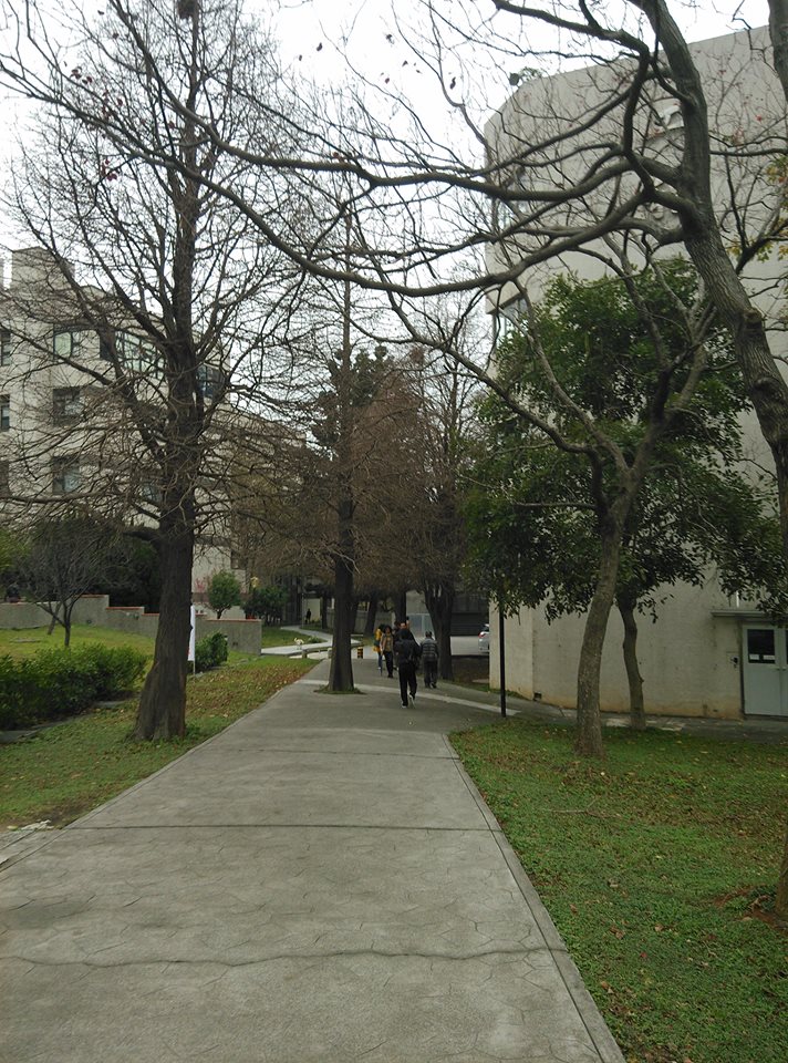 交通大學