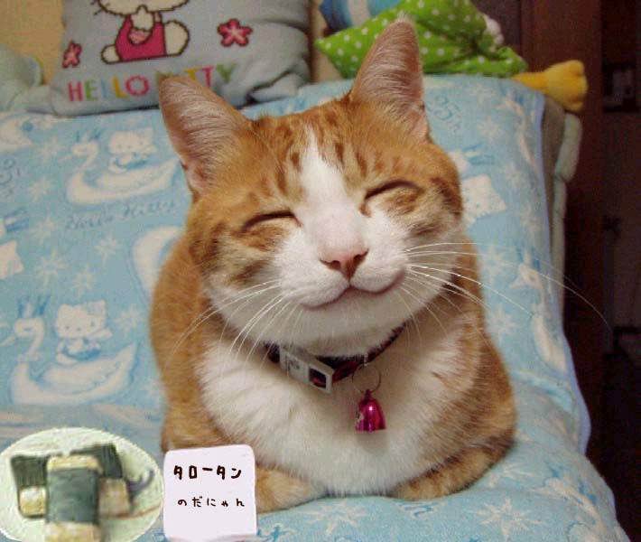 happy