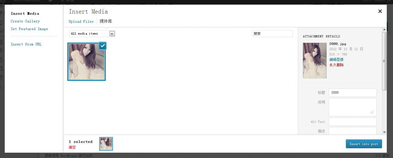 wordpress 3.5