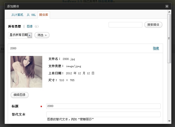 wordpress 3.4